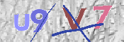 この文字を入力してください