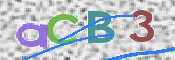 この文字を入力してください