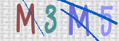 この文字を入力してください