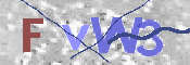 この文字を入力してください