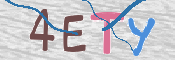 この文字を入力してください