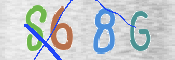 この文字を入力してください
