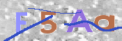この文字を入力してください