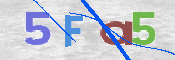 この文字を入力してください