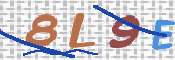 この文字を入力してください
