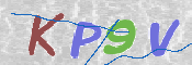 この文字を入力してください