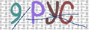 この文字を入力してください