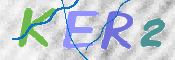 この文字を入力してください