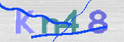 この文字を入力してください