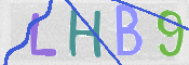 この文字を入力してください