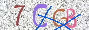 この文字を入力してください