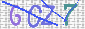 この文字を入力してください