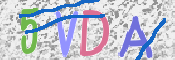 この文字を入力してください