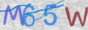 この文字を入力してください