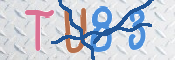 この文字を入力してください