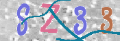 この文字を入力してください