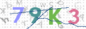 この文字を入力してください