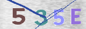 この文字を入力してください