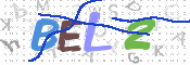 この文字を入力してください
