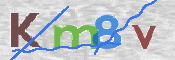 この文字を入力してください