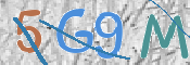 この文字を入力してください