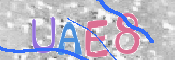 この文字を入力してください