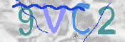 この文字を入力してください