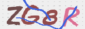 この文字を入力してください