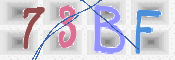 この文字を入力してください