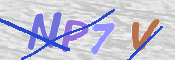 この文字を入力してください