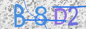 この文字を入力してください