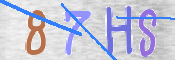 この文字を入力してください