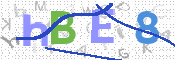 この文字を入力してください