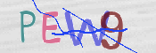 この文字を入力してください