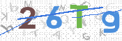 この文字を入力してください