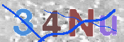 この文字を入力してください
