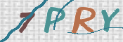 この文字を入力してください