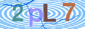 この文字を入力してください