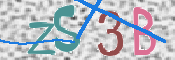 この文字を入力してください