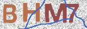 この文字を入力してください