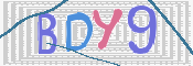 この文字を入力してください