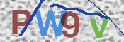 この文字を入力してください