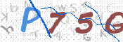 この文字を入力してください