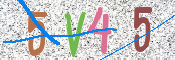 この文字を入力してください