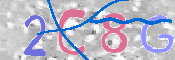 この文字を入力してください