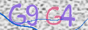この文字を入力してください