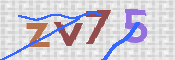 この文字を入力してください