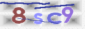 この文字を入力してください
