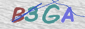 この文字を入力してください