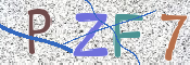 この文字を入力してください